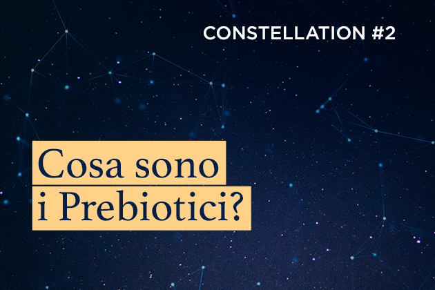 Constellation #2: Cosa sono i Prebiotici?